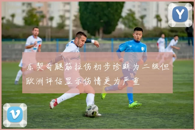东契奇腿筋拉伤初步诊断为二级但欧洲评估显示伤情更为严重